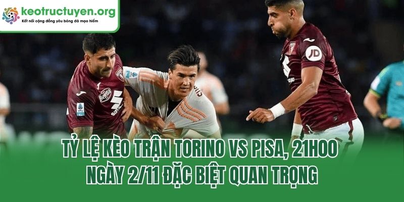 Tỷ lệ kèo trận Torino vs Pisa, 21h00 ngày 2/11 đặc biệt quan trọng