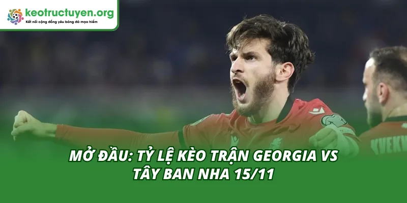 Tỷ lệ kèo trận Georgia vs Tây Ban Nha 15/11 theo Kèo Nhà Cái