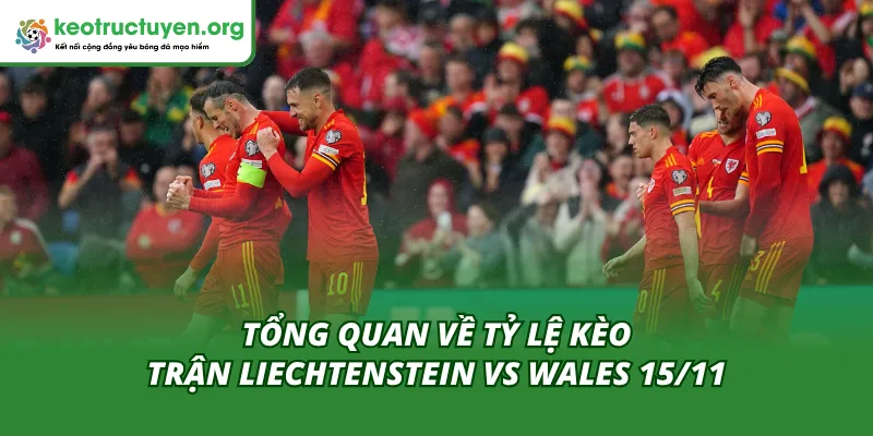 Tỷ lệ kèo trận Liechtenstein vs Wales 15/11 mới nhất hôm nay