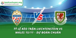 Tỷ Lệ Kèo Trận Liechtenstein Vs Wales 15/11 – Dự Đoán Chuẩn Tỷ Lệ Kèo Trận Liechtenstein Vs Wales 15/11