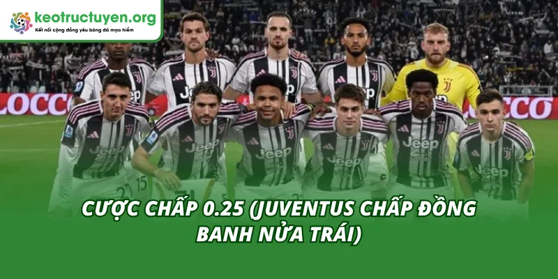 Cược chấp 0.25 là mức lời của tỷ lệ kèo trận Galatasaray - Juventus 18/02