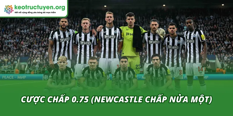 Cược chấp 0.75 là mức hời trong tỷ lệ kèo trận Karabakh - Newcastle 19/02