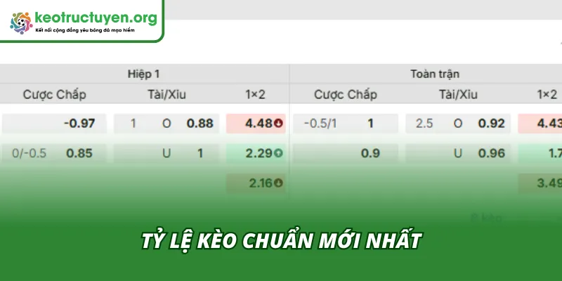 Phân tích chỉ số cược giữa Nottingham vs Wolverhampton